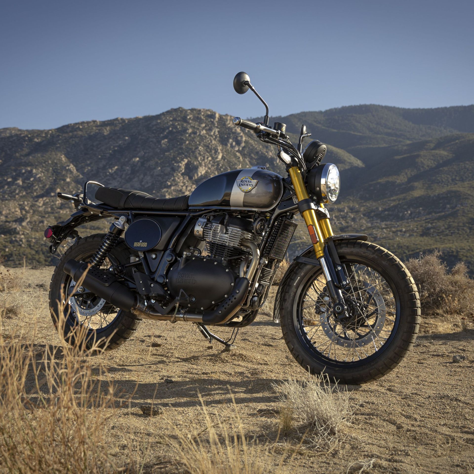 RoyalEnfield_Bear650_feat_01.jpg